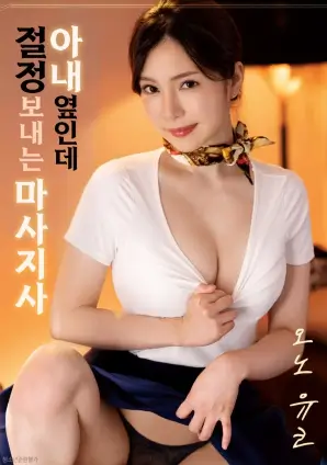 面包和汤和猫咪好天气